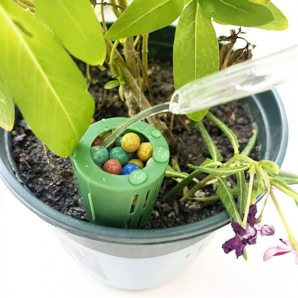 Fertilizer Box For Bonsai Plan - Gardening Tools Essential recension och pris