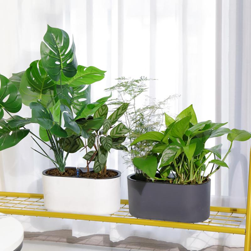 Indoor Plant With Indicator Wo - Automatic Plant Waterer recension och pris